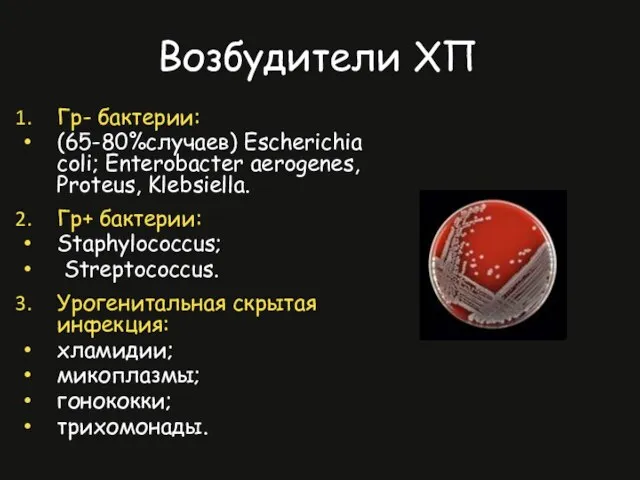 Гр- бактерии: (65-80%случаев) Escherichia coli; Enterobacter aerogenes, Proteus, Klebsiella. Гр+ бактерии: