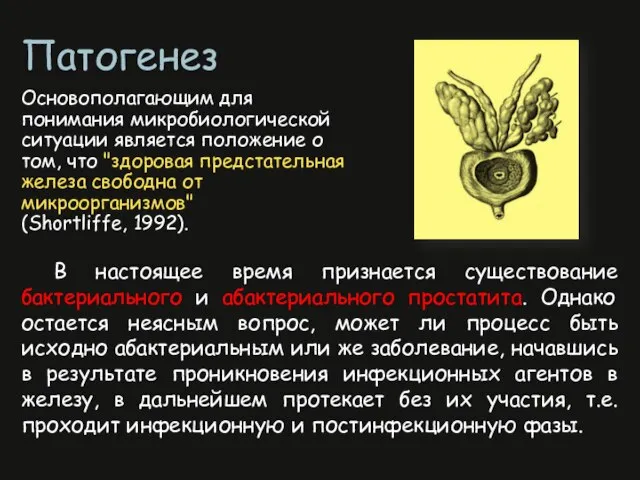 В настоящее время признается существование бактериального и абактериального простатита. Однако остается