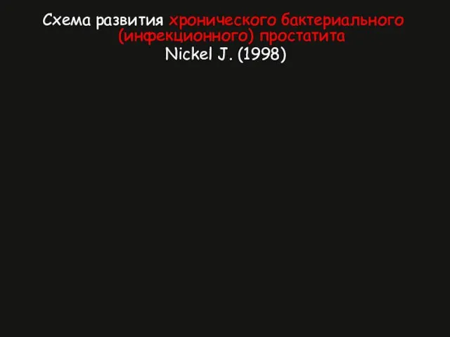 Схема развития хронического бактериального (инфекционного) простатита Nickel J. (1998)