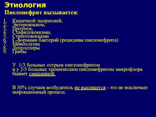 Этиология Пиелонефрит вызывается: Кишечной эшерихией, Энтерококком, Протеем, Стафилококками, Стрептококками L-формами бактерий