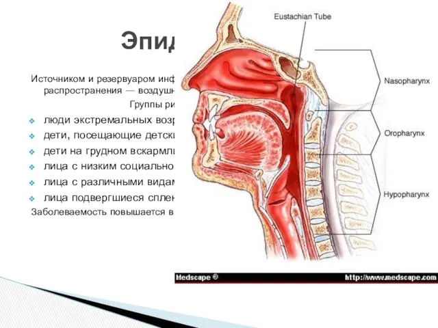 Источником и резервуаром инфекции является только человек. Путь распространения — воздушно-капельный.