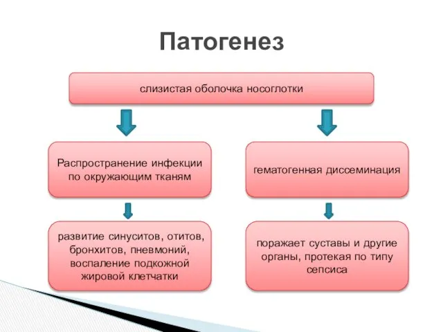 Патогенез слизистая оболочка носоглотки Распространение инфекции по окружающим тканям гематогенная диссеминация