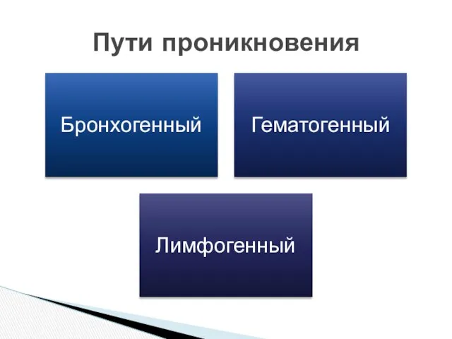 Пути проникновения