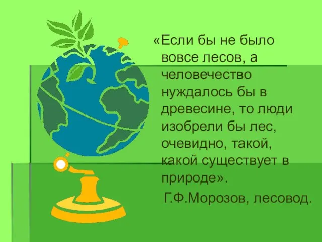 «Если бы не было вовсе лесов, а человечество нуждалось бы в