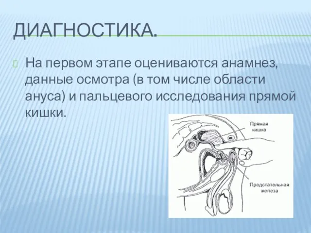 Диагностика. На первом этапе оцениваются анамнез, данные осмотра (в том числе