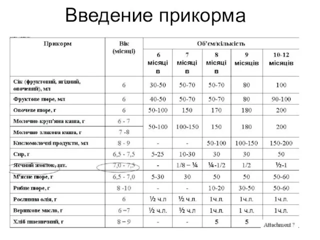 Введение прикорма