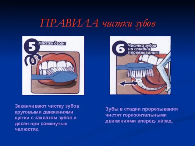 ПРАВИЛА чистки зубов Заканчивают чистку зубов круговыми движениями щетки с захватом