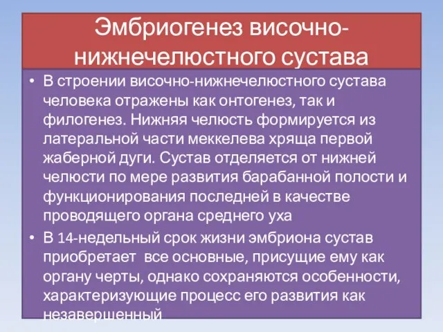 Эмбриогенез височно-нижнечелюстного сустава В строении височно-нижнечелюстного сустава человека отражены как онтогенез,