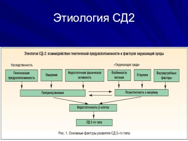 Этиология СД2