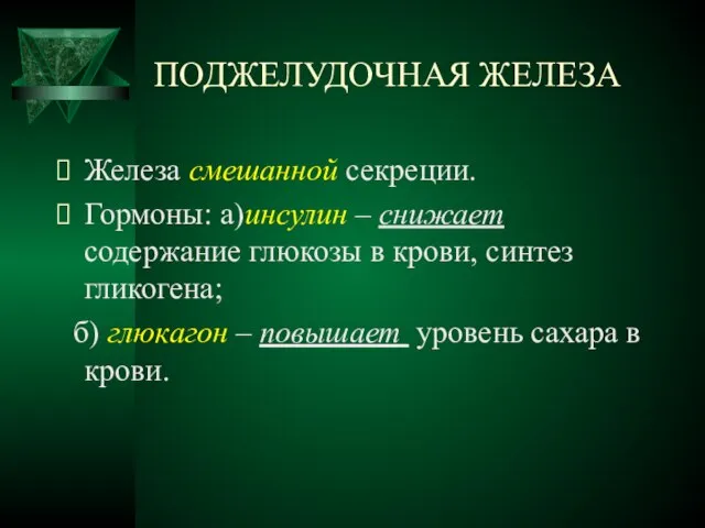 ПОДЖЕЛУДОЧНАЯ ЖЕЛЕЗА Железа смешанной секреции. Гормоны: а)инсулин – снижает содержание глюкозы