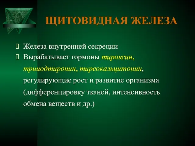 ЩИТОВИДНАЯ ЖЕЛЕЗА Железа внутренней секреции Вырабатывает гормоны тироксин, трииодтиронин, тиреокальцитонин, регулирующие