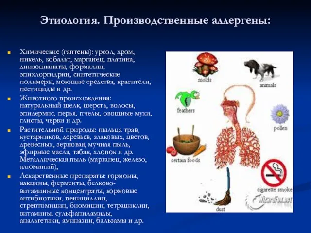 Этиология. Производственные аллергены: Химические (гаптены): урсол, хром, никель, кобальт, марганец, платина,