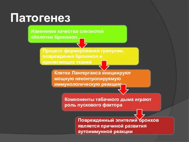 Патогенез Изменение качества слизистой оболочки бронхиол. Процесс формирования гранулем, повреждения бронхиол