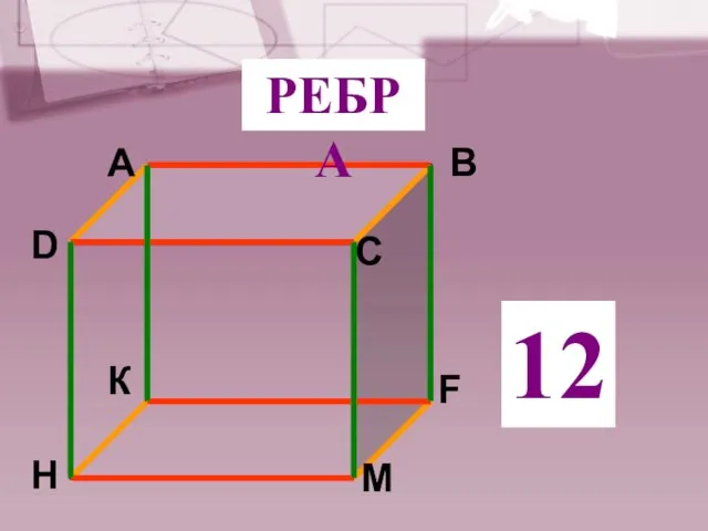 РЕБРА 12