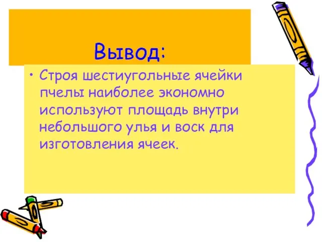 Вывод: Строя шестиугольные ячейки пчелы наиболее экономно используют площадь внутри небольшого