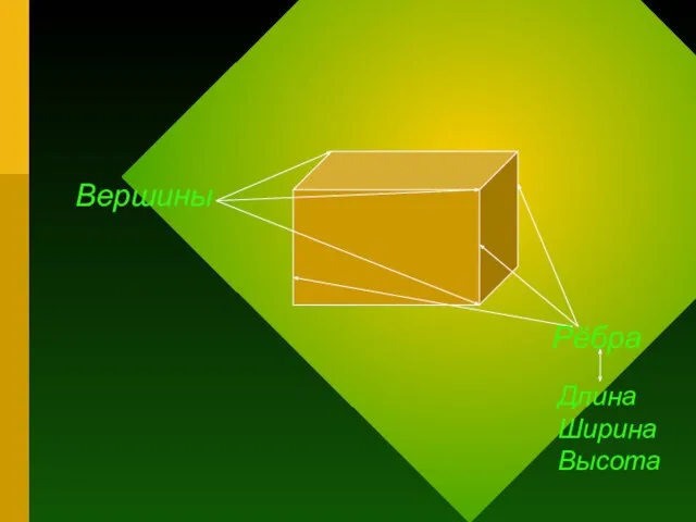 Вершины Рёбра Длина Ширина Высота