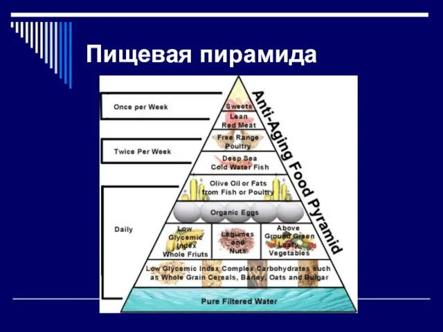 Пищевая пирамида