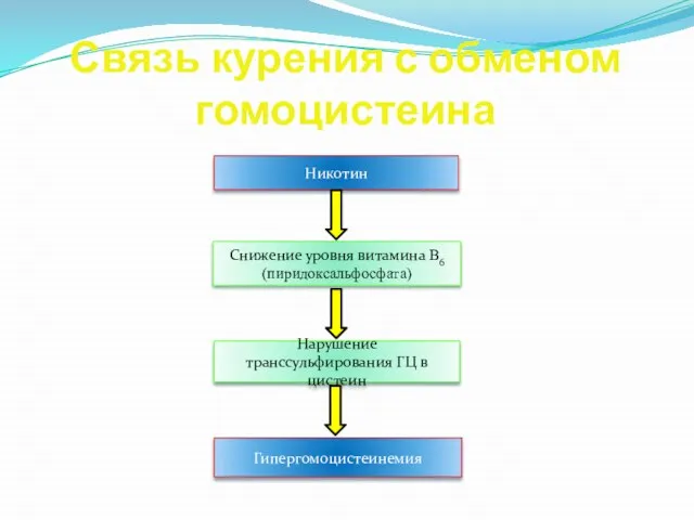 Связь курения с обменом гомоцистеина Никотин Снижение уровня витамина В6 (пиридоксальфосфата)