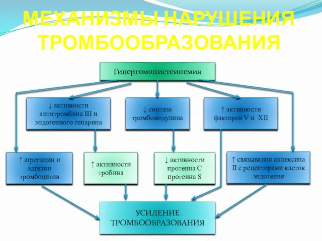 МЕХАНИЗМЫ НАРУШЕНИЯ ТРОМБООБРАЗОВАНИЯ Гипергомоцистеинемия ↓ активности антитромбина III и эндогенного гепарина