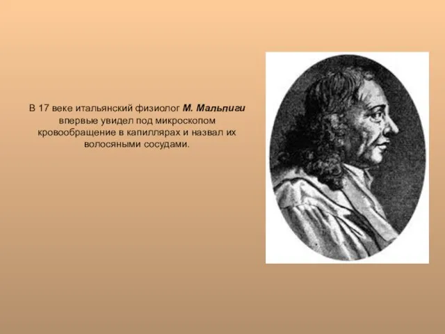 В 17 веке итальянский физиолог М. Мальпиги впервые увидел под микроскопом