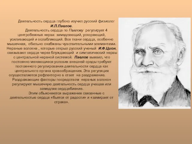 Деятельность сердца глубоко изучил русский физиолог И.П.Павлов. Деятельность сердца по Павлову