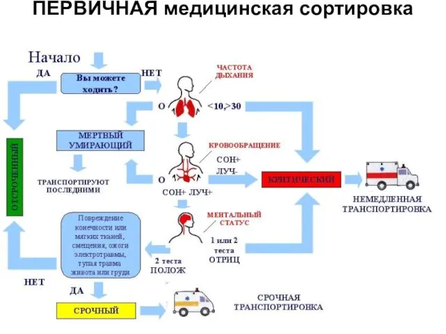 ПЕРВИЧНАЯ медицинская сортировка