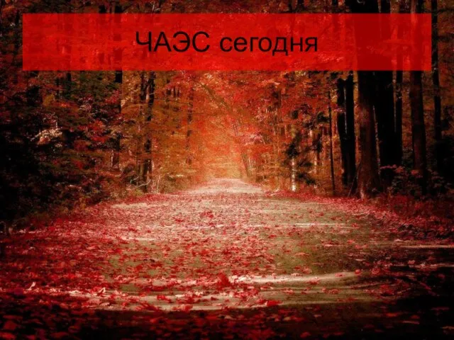 ЧАЭС сегодня