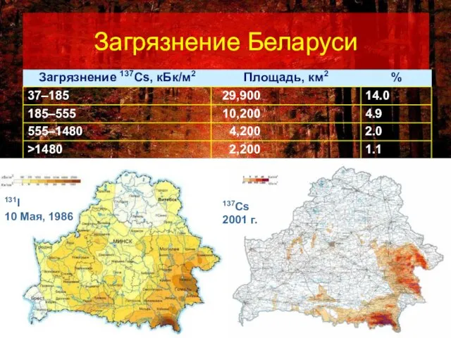 Загрязнение Беларуси 131I 10 Maя, 1986 137Cs 2001 г.