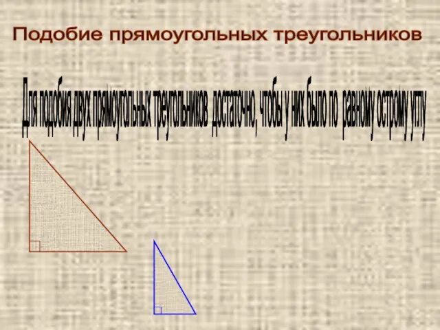 Подобие прямоугольных треугольников Для подобия двух прямоугольных треугольников достаточно, чтобы у