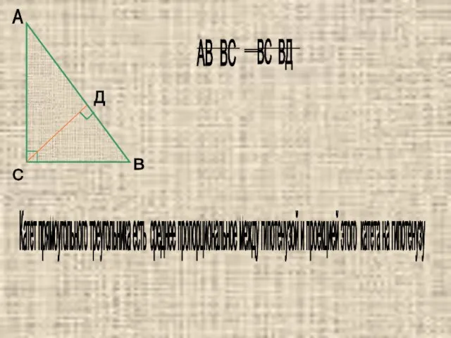 А В С Д Катет прямоугольного треугольника есть среднее пропорциональное между