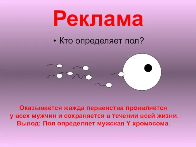 Реклама Кто определяет пол? Оказывается жажда первенства проявляется у всех мужчин