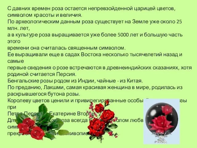 С давних времен роза остается непревзойденной царицей цветов, символом красоты и