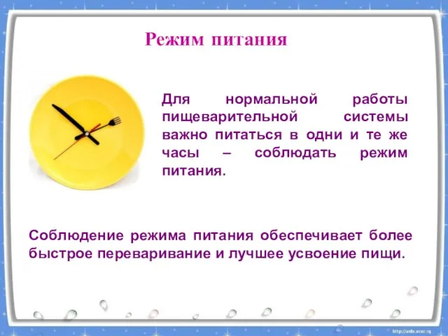 Режим питания Для нормальной работы пищеварительной системы важно питаться в одни