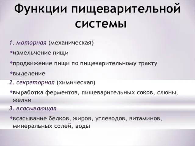 Функции пищеварительной системы 1. моторная (механическая) измельчение пищи продвижение пищи по