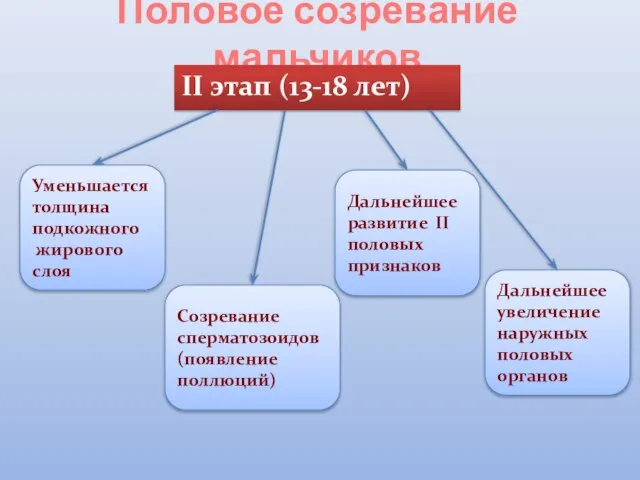 Половое созревание мальчиков II этап (13-18 лет) Уменьшается толщина подкожного жирового