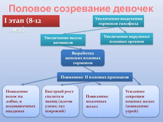 Половое созревание девочек I этап (8-12 лет) Увеличение выделения гормонов гипофиза