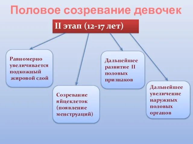 Половое созревание девочек II этап (12-17 лет) Равномерно увеличивается подкожный жировой