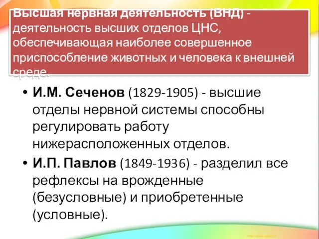 Высшая нервная деятельность (ВНД) - деятельность высших отделов ЦНС, обеспечивающая наиболее