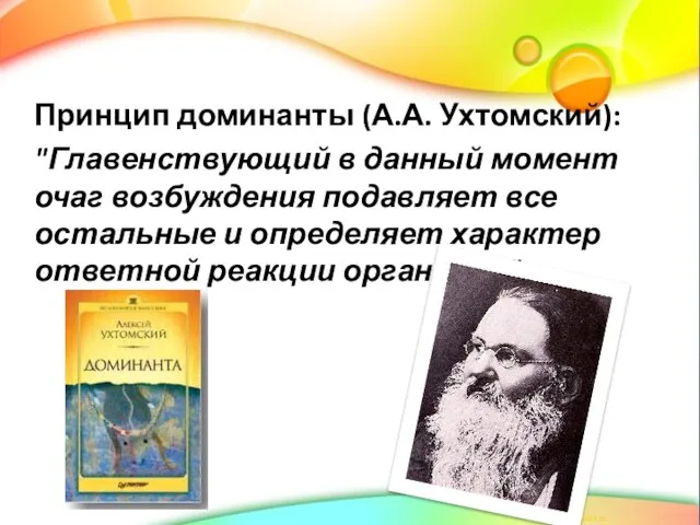 Принцип доминанты (А.А. Ухтомский): "Главенствующий в данный момент очаг возбуждения подавляет