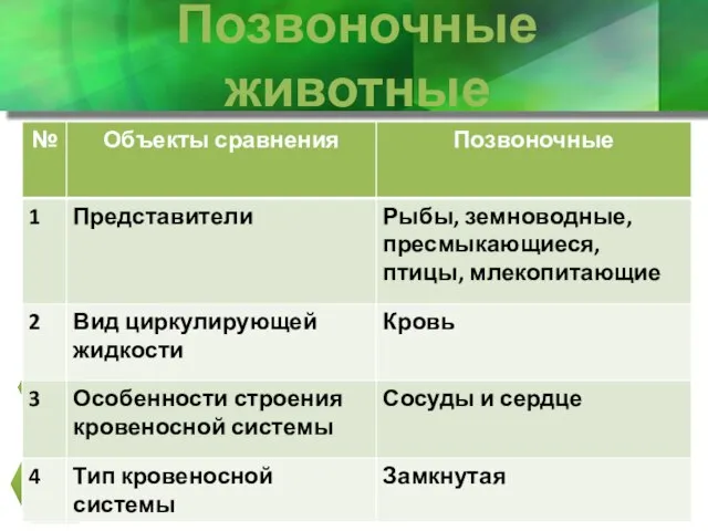 Позвоночные животные