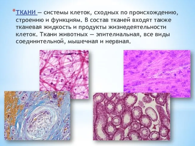 ТКАНИ — системы клеток, сходных по происхождению, строению и функциям. В