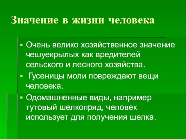 Значение в жизни человека Очень велико хозяйственное значение чешуекрылых как вредителей