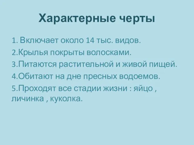 Характерные черты 1. Включает около 14 тыс. видов. 2.Крылья покрыты волосками.