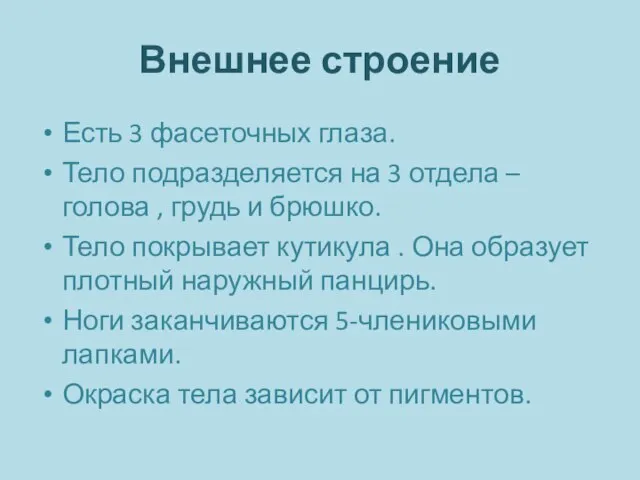 Внешнее строение Есть 3 фасеточных глаза. Тело подразделяется на 3 отдела