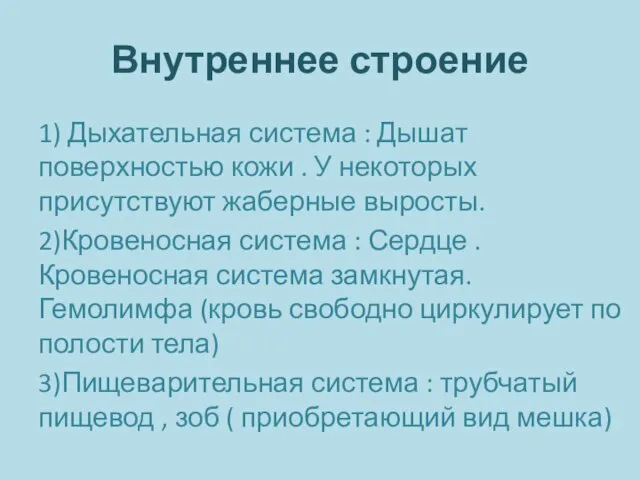 Внутреннее строение 1) Дыхательная система : Дышат поверхностью кожи . У