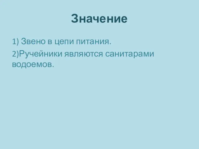 Значение 1) Звено в цепи питания. 2)Ручейники являются санитарами водоемов.