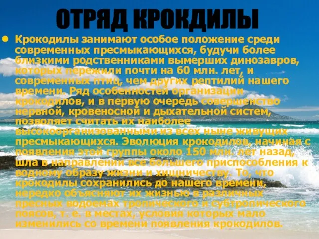 Крокодилы занимают особое положение среди современных пресмыкающихся, будучи более близкими родственниками