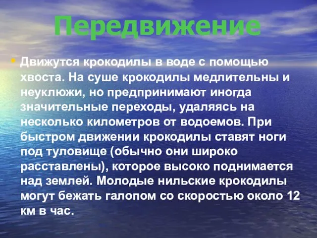 Движутся крокодилы в воде с помощью хвоста. На суше крокодилы медлительны