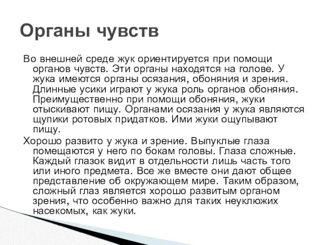 Органы чувств Во внешней среде жук ориентируется при по­мощи органов чувств.