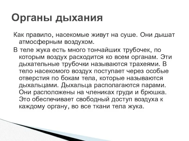 Как правило, насекомые живут на суше. Они дышат атмосферным воздухом. В